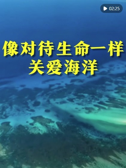 雲庭開庭app官方版下載安裝