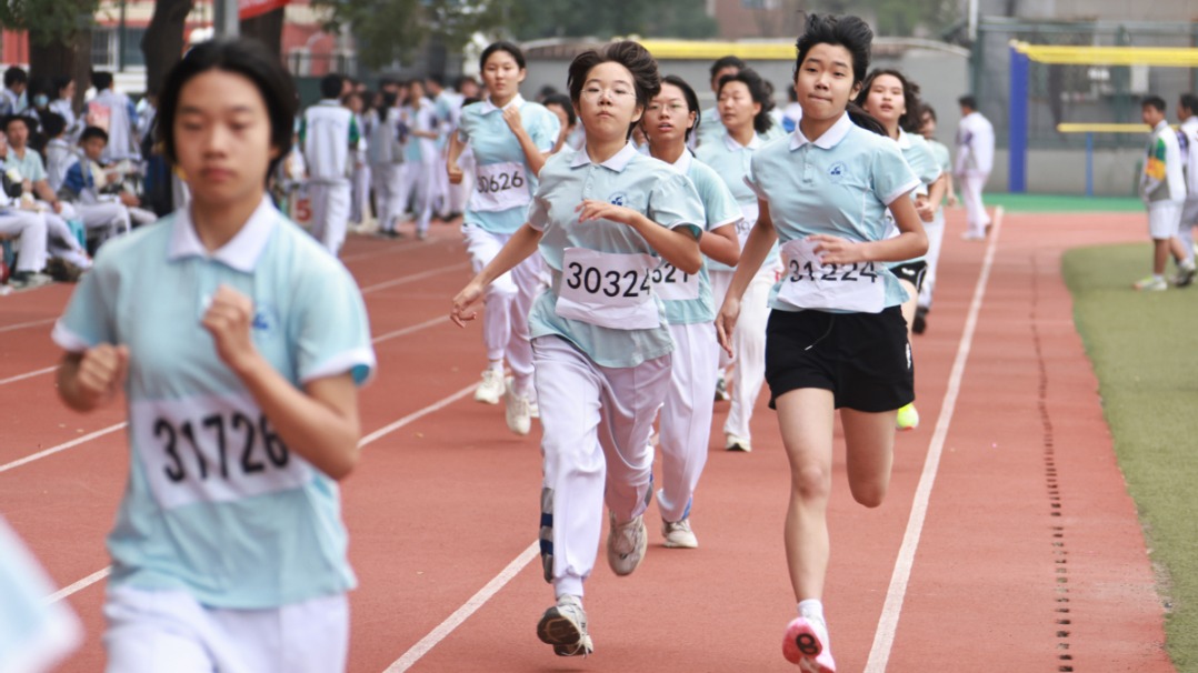 Dollphone圖標包下載