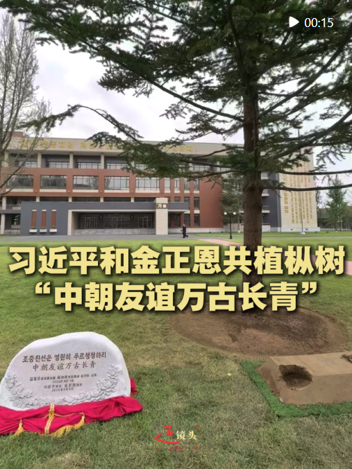 涉及4類問題！中央網信辦集中整治賬號名稱信息亂象