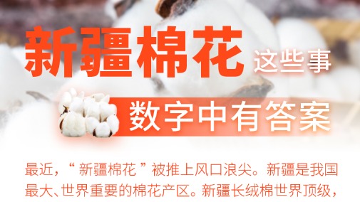 納米盒小學英語下載免費app